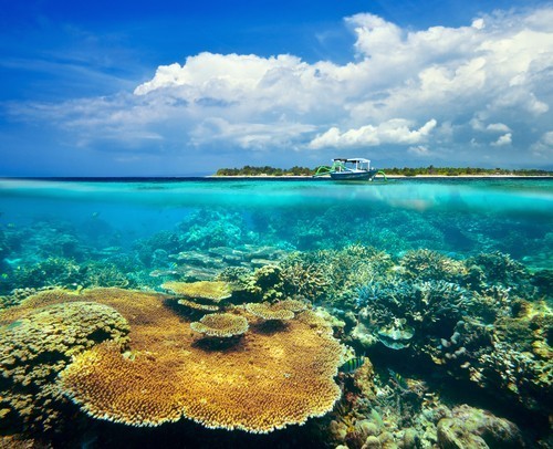 Lombok to Gili Meno transfers